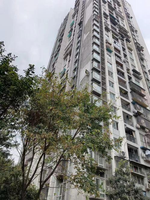 光华可乐小镇紧急排危