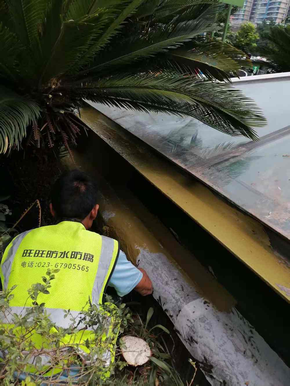 东海岸小区公区渗水维修